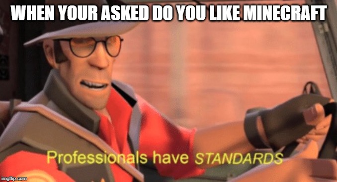 Professionals have standards | WHEN YOUR ASKED DO YOU LIKE MINECRAFT | image tagged in professionals have standards | made w/ Imgflip meme maker