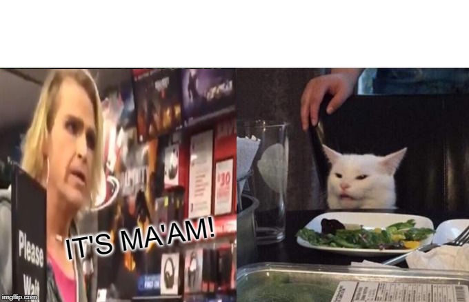 Woman(?) yelling at cat | IT'S MA'AM! | image tagged in woman yelling at cat,it's ma'am,meme mash up,memes | made w/ Imgflip meme maker