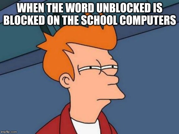 Futurama Fry Meme | WHEN THE WORD UNBLOCKED IS BLOCKED ON THE SCHOOL COMPUTERS | image tagged in memes,futurama fry | made w/ Imgflip meme maker