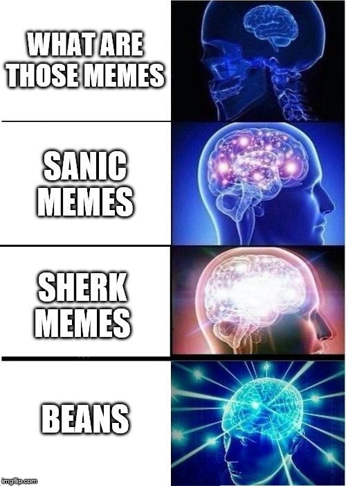 Expanding Brain Meme | WHAT ARE THOSE MEMES; SANIC MEMES; SHERK MEMES; BEANS | image tagged in memes,expanding brain | made w/ Imgflip meme maker