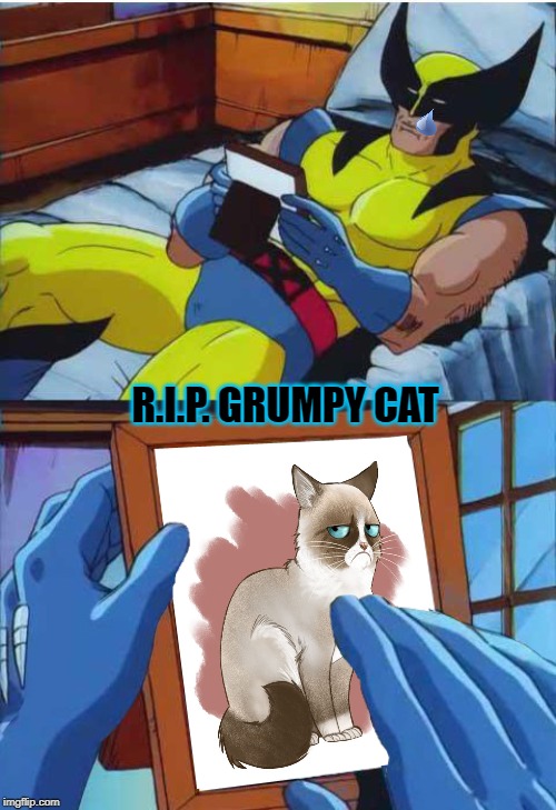Tribute | R.I.P. GRUMPY CAT | image tagged in wolverine remember,grumpy cat,rest in peace,cat,memes | made w/ Imgflip meme maker