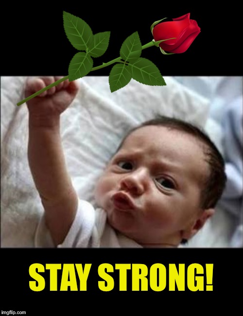 Stay Strong! | STAY STRONG! | image tagged in stay strong | made w/ Imgflip meme maker