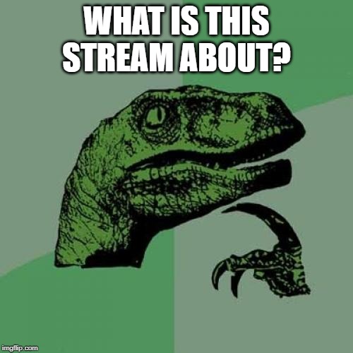 whats this stream about | WHAT IS THIS STREAM ABOUT? | image tagged in memes,philosoraptor | made w/ Imgflip meme maker