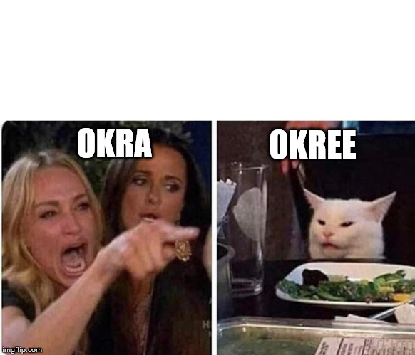 Lady screams at cat | OKREE; OKRA | image tagged in lady screams at cat | made w/ Imgflip meme maker