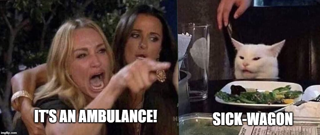 woman yelling at cat | SICK-WAGON; IT'S AN AMBULANCE! | image tagged in woman yelling at cat | made w/ Imgflip meme maker