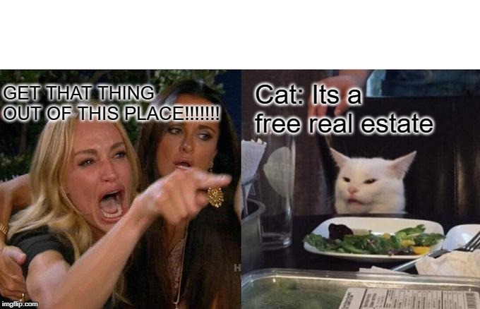 Woman Yelling At Cat Meme | GET THAT THING OUT OF THIS PLACE!!!!!!! Cat: Its a free real estate | image tagged in memes,woman yelling at cat,its free real estate | made w/ Imgflip meme maker