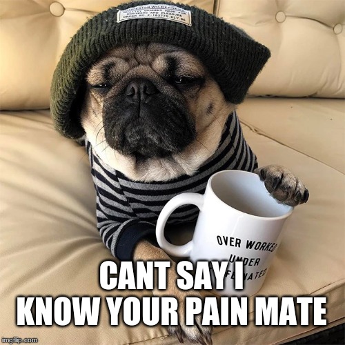 CANT SAY I KNOW YOUR PAIN MATE | made w/ Imgflip meme maker