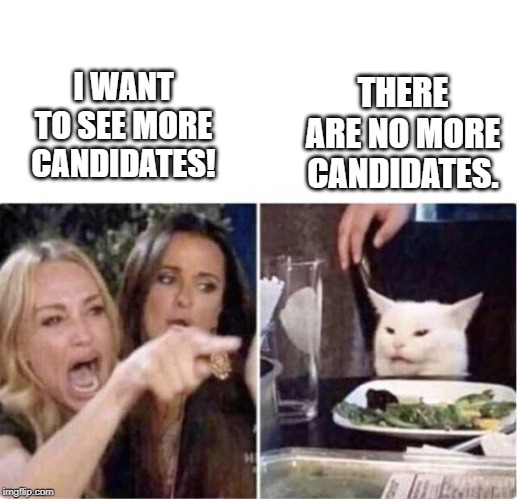 Real housewives screaming cat | I WANT TO SEE MORE CANDIDATES! THERE ARE NO MORE CANDIDATES. | image tagged in real housewives screaming cat | made w/ Imgflip meme maker