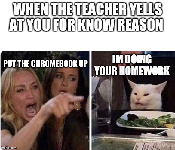table cat | WHEN THE TEACHER YELLS AT YOU FOR KNOW REASON; IM DOING YOUR HOMEWORK; PUT THE CHROMEBOOK UP | image tagged in table cat | made w/ Imgflip meme maker