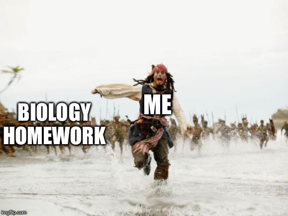 Jack Sparrow Being Chased Meme | ME; BIOLOGY HOMEWORK | image tagged in memes,jack sparrow being chased | made w/ Imgflip meme maker