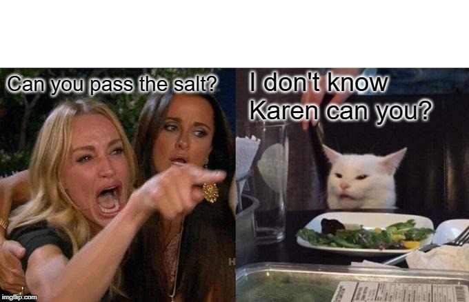 Woman Yelling At Cat Meme | Can you pass the salt? I don't know Karen can you? | image tagged in memes,woman yelling at cat | made w/ Imgflip meme maker