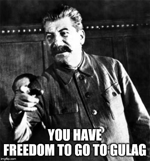 Stalin | YOU HAVE FREEDOM TO GO TO GULAG | image tagged in stalin | made w/ Imgflip meme maker