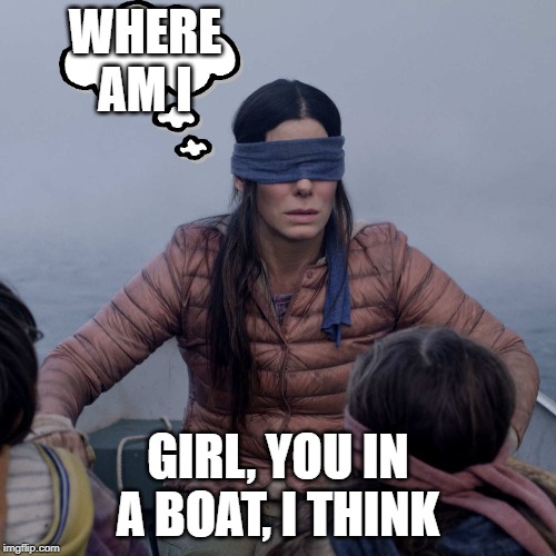 Bird Box Meme | WHERE AM I; GIRL, YOU IN A BOAT, I THINK | image tagged in memes,bird box | made w/ Imgflip meme maker