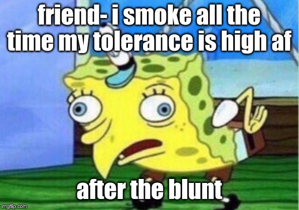 Mocking Spongebob Meme | friend- i smoke all the time my tolerance is high af; after the blunt | image tagged in memes,mocking spongebob | made w/ Imgflip meme maker