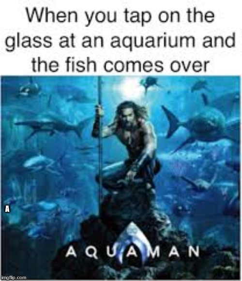 AqUAmAn | A | image tagged in fish | made w/ Imgflip meme maker