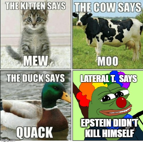 The Cow Says | LATERAL T.  SAYS; EPSTEIN DIDN'T KILL HIMSELF | image tagged in epstein,groyper,pepe,apu | made w/ Imgflip meme maker