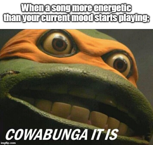 Cowabunga it is | When a song more energetic than your current mood starts playing; | image tagged in cowabunga it is | made w/ Imgflip meme maker