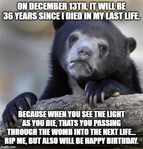 Confession Bear |  ON DECEMBER 13TH, IT WILL BE 36 YEARS SINCE I DIED IN MY LAST LIFE. BECAUSE WHEN YOU SEE THE LIGHT AS YOU DIE, THATS YOU PASSING THROUGH THE WOMB INTO THE NEXT LIFE... RIP ME, BUT ALSO WILL BE HAPPY BIRTHDAY. | image tagged in memes,confession bear | made w/ Imgflip meme maker