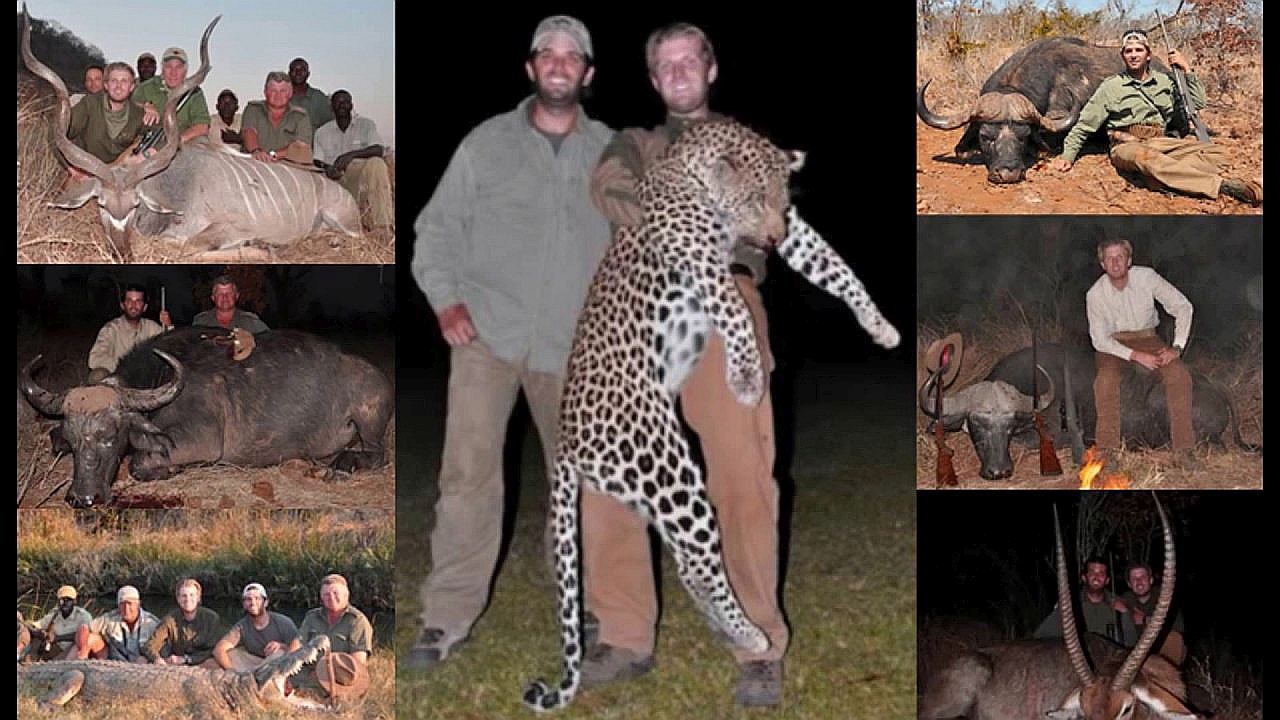 High Quality Donald Jr. and Eric kill animals Blank Meme Template