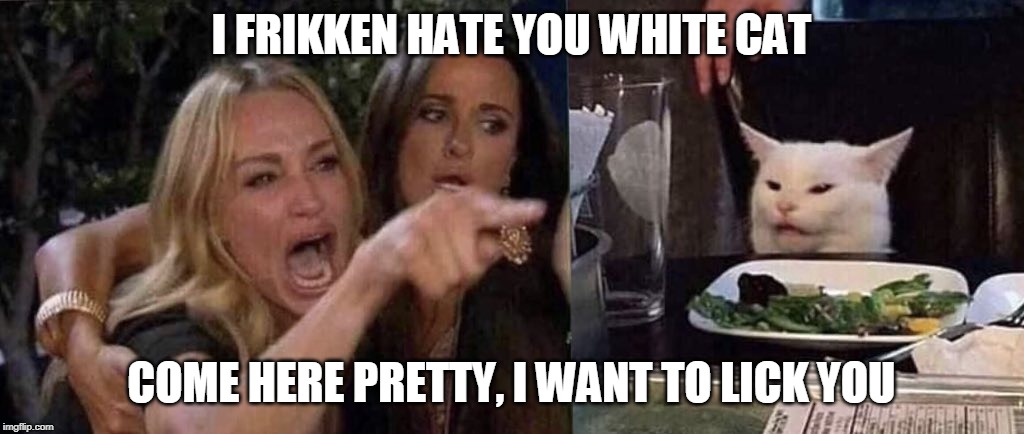 woman yelling at cat | I FRIKKEN HATE YOU WHITE CAT; COME HERE PRETTY, I WANT TO LICK YOU | image tagged in woman yelling at cat | made w/ Imgflip meme maker