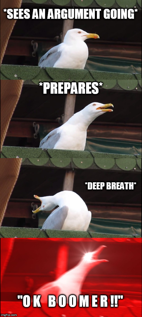 Inhaling Seagull Meme | *SEES AN ARGUMENT GOING*; *PREPARES*; *DEEP BREATH*; "O K   B O O M E R !!" | image tagged in memes,inhaling seagull | made w/ Imgflip meme maker