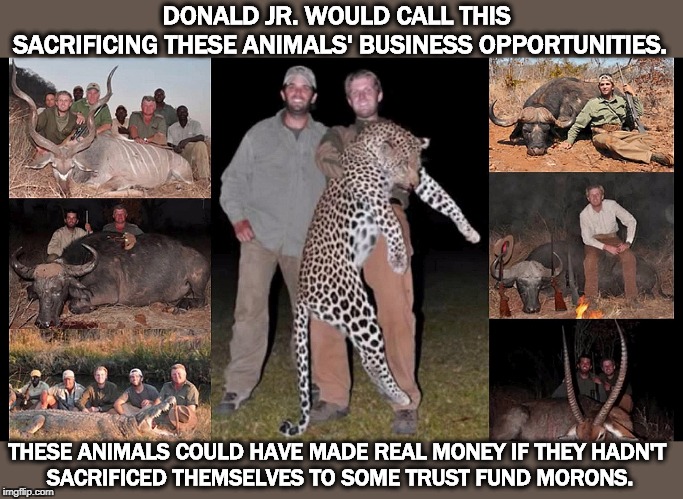 Donald Jr. says Arlington National Cemetery is full of people who sacrificed great business opportunities for their country. | DONALD JR. WOULD CALL THIS 
SACRIFICING THESE ANIMALS' BUSINESS OPPORTUNITIES. THESE ANIMALS COULD HAVE MADE REAL MONEY IF THEY HADN'T 
SACRIFICED THEMSELVES TO SOME TRUST FUND MORONS. | image tagged in donald jr and eric kill animals,donald jr,eric trump,africa,death,dead | made w/ Imgflip meme maker