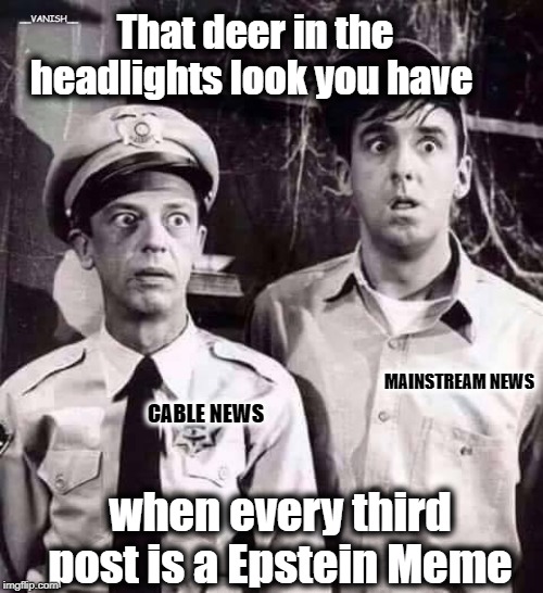Mayberry News | That deer in the headlights look you have; __VANISH__; MAINSTREAM NEWS; CABLE NEWS; when every third post is a Epstein Meme | image tagged in jeffrey epstein | made w/ Imgflip meme maker