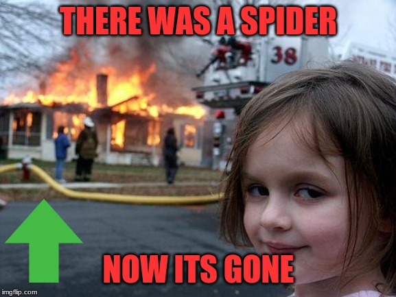 Disaster Girl Meme | THERE WAS A SPIDER; NOW ITS GONE | image tagged in memes,disaster girl | made w/ Imgflip meme maker