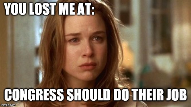 Jerry Maguire you had me at hello | YOU LOST ME AT: CONGRESS SHOULD DO THEIR JOB | image tagged in jerry maguire you had me at hello | made w/ Imgflip meme maker