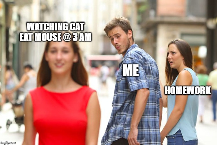 Distracted Boyfriend | WATCHING CAT EAT MOUSE @ 3 AM; ME; HOMEWORK | image tagged in memes,distracted boyfriend | made w/ Imgflip meme maker
