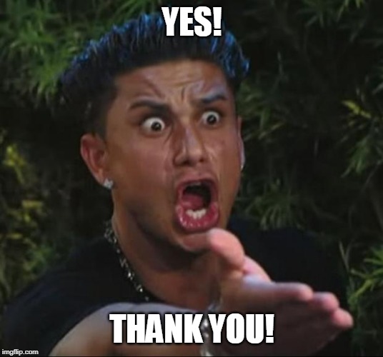 DJ Pauly D Meme | YES! THANK YOU! | image tagged in memes,dj pauly d | made w/ Imgflip meme maker