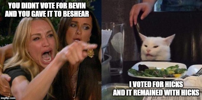 Meanwhile in KY.... | YOU DIDNT VOTE FOR BEVIN AND YOU GAVE IT TO BESHEAR; I VOTED FOR HICKS AND IT REMAINED WITH HICKS | image tagged in woman screaming at cat | made w/ Imgflip meme maker
