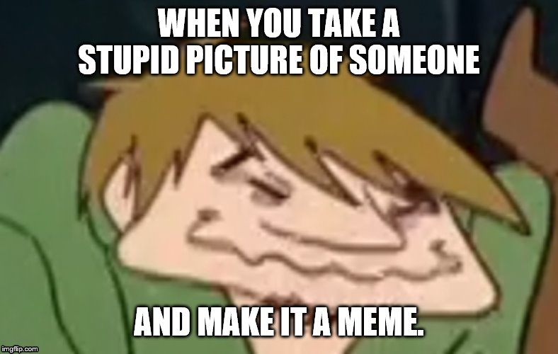 The High Shaggy | WHEN YOU TAKE A STUPID PICTURE OF SOMEONE; AND MAKE IT A MEME. | image tagged in the high shaggy | made w/ Imgflip meme maker