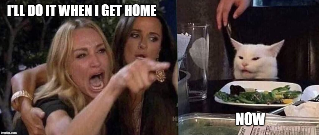 woman yelling at cat | I'LL DO IT WHEN I GET HOME; NOW | image tagged in woman yelling at cat | made w/ Imgflip meme maker