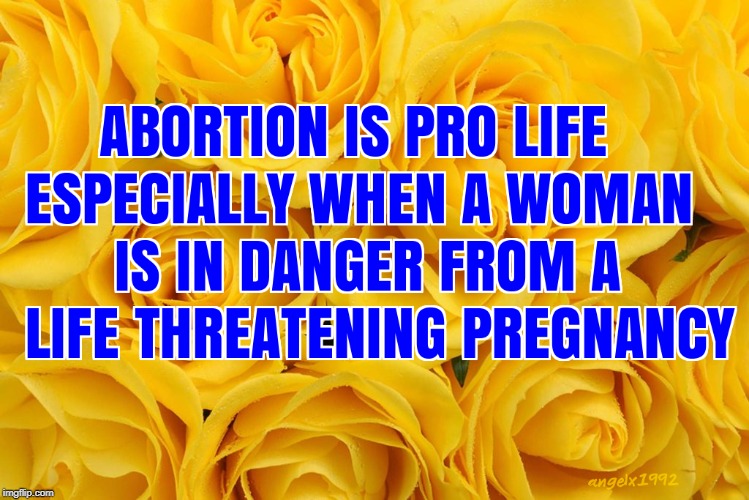 image tagged in abortion,pro life,pro choice,women's rights,random,pregnancy | made w/ Imgflip meme maker