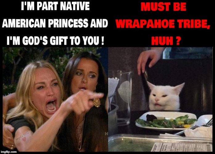 image tagged in woman yelling at cat,woman yelling at a cat,gifts,native american,cat,tribe | made w/ Imgflip meme maker
