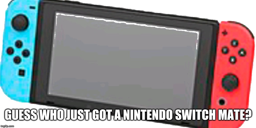 Nintendo switch switches in! | GUESS WHO JUST GOT A NINTENDO SWITCH MATE? | image tagged in nintendo switch switches in | made w/ Imgflip meme maker