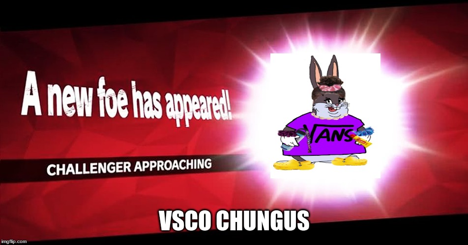 Vsco chungusl join super smash bros ultimate | VSCO CHUNGUS | image tagged in super smash bros,memes | made w/ Imgflip meme maker