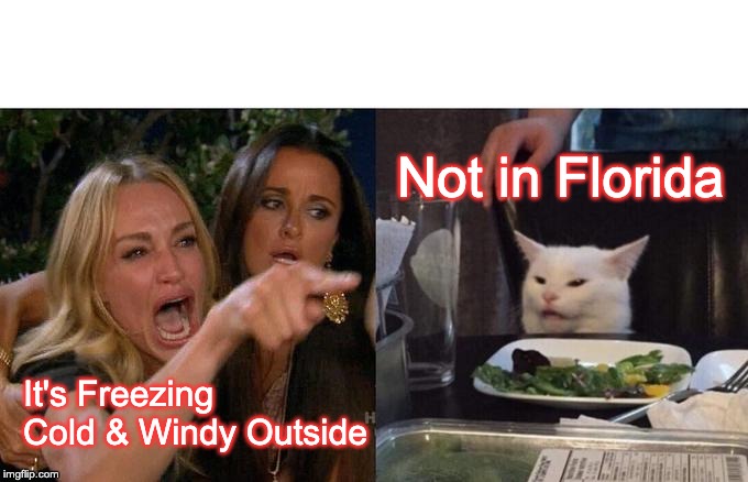 Woman Yelling At Cat Meme | Not in Florida; It's Freezing Cold & Windy Outside | image tagged in memes,woman yelling at cat | made w/ Imgflip meme maker