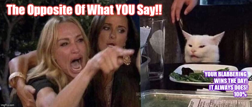 woman yelling at cat | The Opposite Of What YOU Say!! YOUR BLABBERING 
WINS THE DAY!
 IT ALWAYS DOES!
100% | image tagged in woman yelling at cat | made w/ Imgflip meme maker