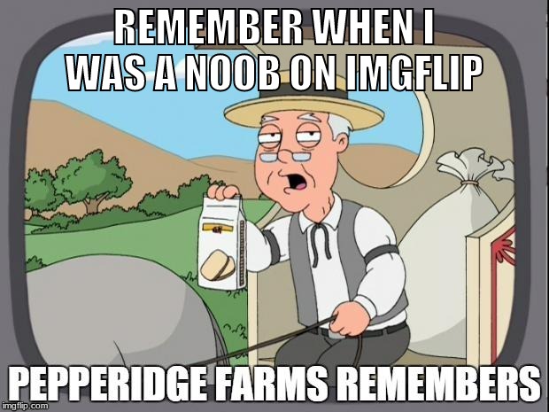 PEPPERIDGE FARMS REMEMBERS | REMEMBER WHEN I WAS A NOOB ON IMGFLIP | image tagged in pepperidge farms remembers | made w/ Imgflip meme maker