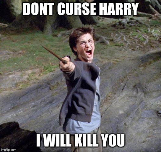 Harry potter | DONT CURSE HARRY; I WILL KILL YOU | image tagged in harry potter | made w/ Imgflip meme maker