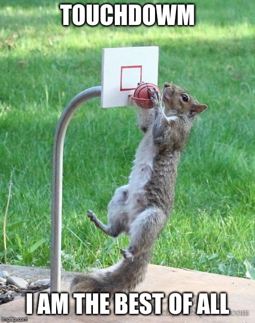 Squirrel basketball | TOUCHDOWM; I AM THE BEST OF ALL | image tagged in squirrel basketball | made w/ Imgflip meme maker