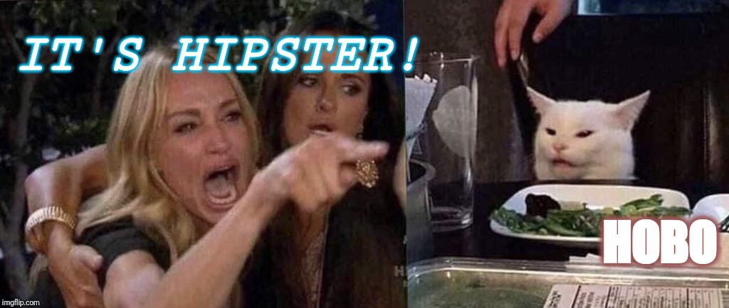 woman yelling at cat | IT'S HIPSTER! HOBO | image tagged in woman yelling at cat | made w/ Imgflip meme maker