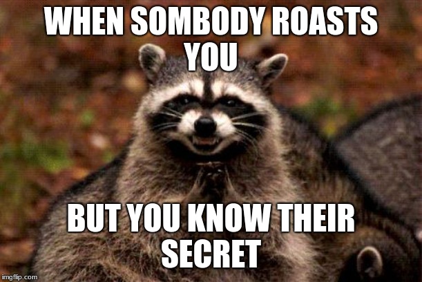 He-he-he | WHEN SOMBODY ROASTS
YOU; BUT YOU KNOW THEIR
SECRET | image tagged in memes,evil plotting raccoon | made w/ Imgflip meme maker