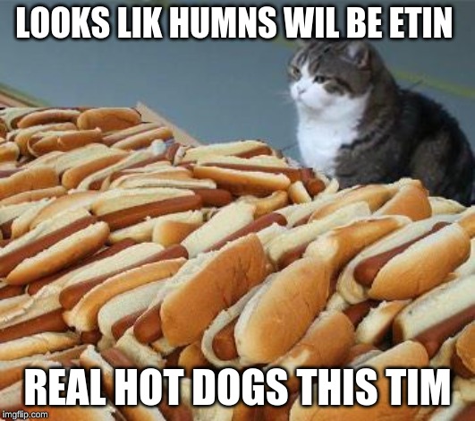 Too many hot dogs | LOOKS LIK HUMNS WIL BE ETIN; REAL HOT DOGS THIS TIM | image tagged in too many hot dogs | made w/ Imgflip meme maker