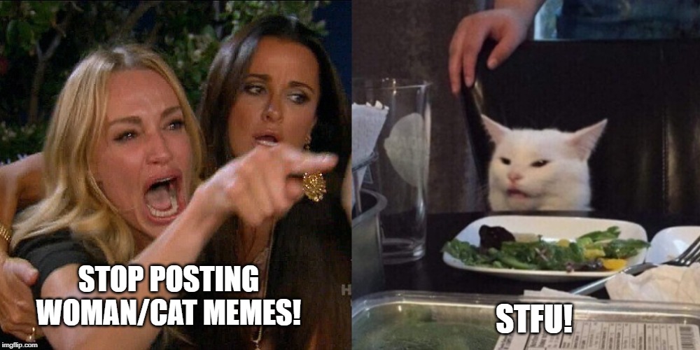 Woman yelling at cat | STFU! STOP POSTING WOMAN/CAT MEMES! | image tagged in woman yelling at cat | made w/ Imgflip meme maker