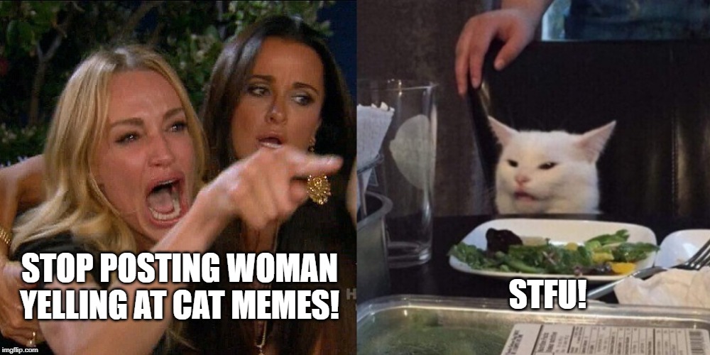 Woman yelling at cat | STFU! STOP POSTING WOMAN YELLING AT CAT MEMES! | image tagged in woman yelling at cat | made w/ Imgflip meme maker