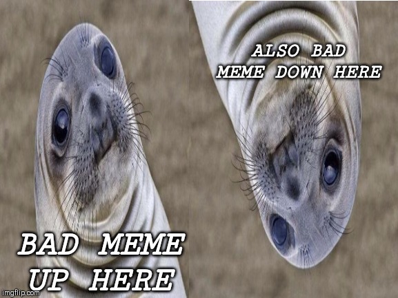 He hate your memes | ALSO BAD MEME DOWN HERE; BAD MEME UP HERE | image tagged in hate,memes,awkward moment sealion | made w/ Imgflip meme maker