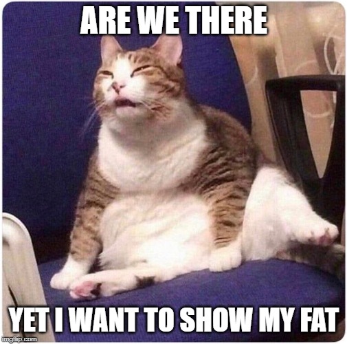 Fat Cat | ARE WE THERE; YET I WANT TO SHOW MY FAT | image tagged in fat cat | made w/ Imgflip meme maker